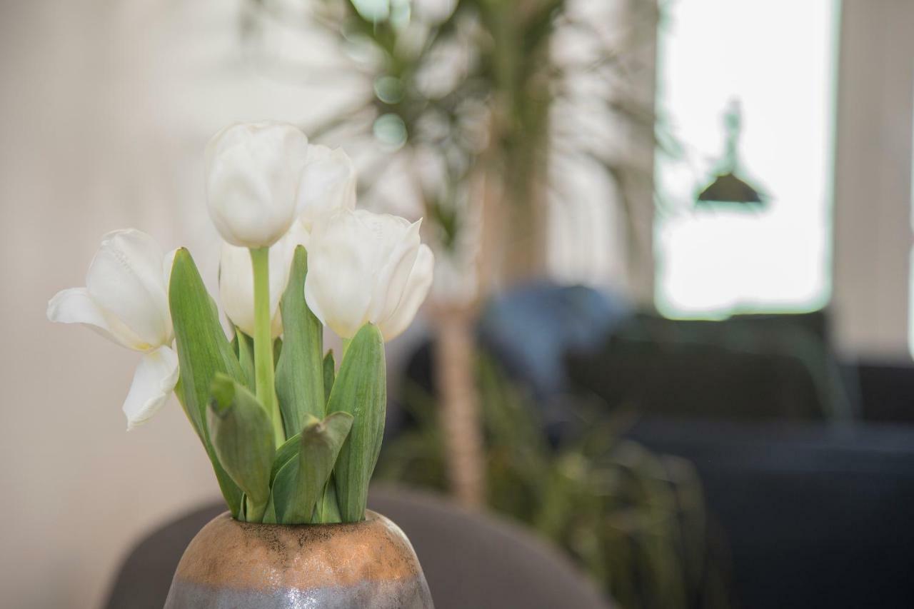 Appartement Liiiving In Porto - Cozy & Chic Downtown Extérieur photo
